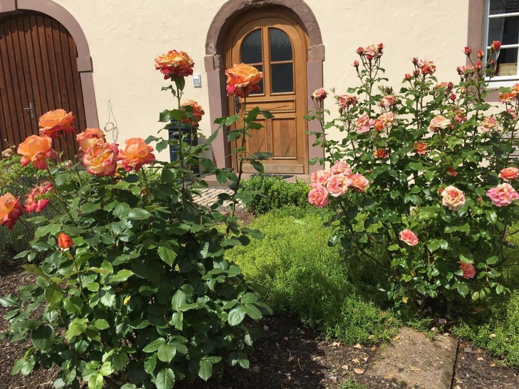 Ferienwohnung In Historischem Bauernhaus In Der Eifel Mettendorf المظهر الخارجي الصورة